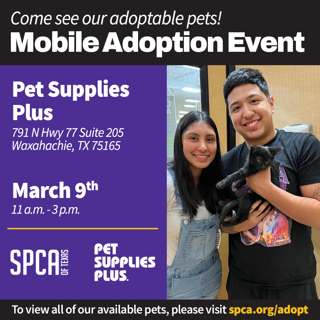Pet Supplies Plus Waxahachie March 9 2024