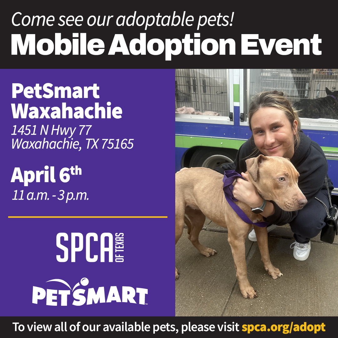 Mobile Adoptions at PetSmart Waxahachie April 6 2024