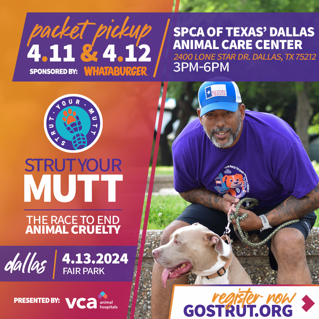 Strut Your Mutt Packet Pickup April 11th and 12th