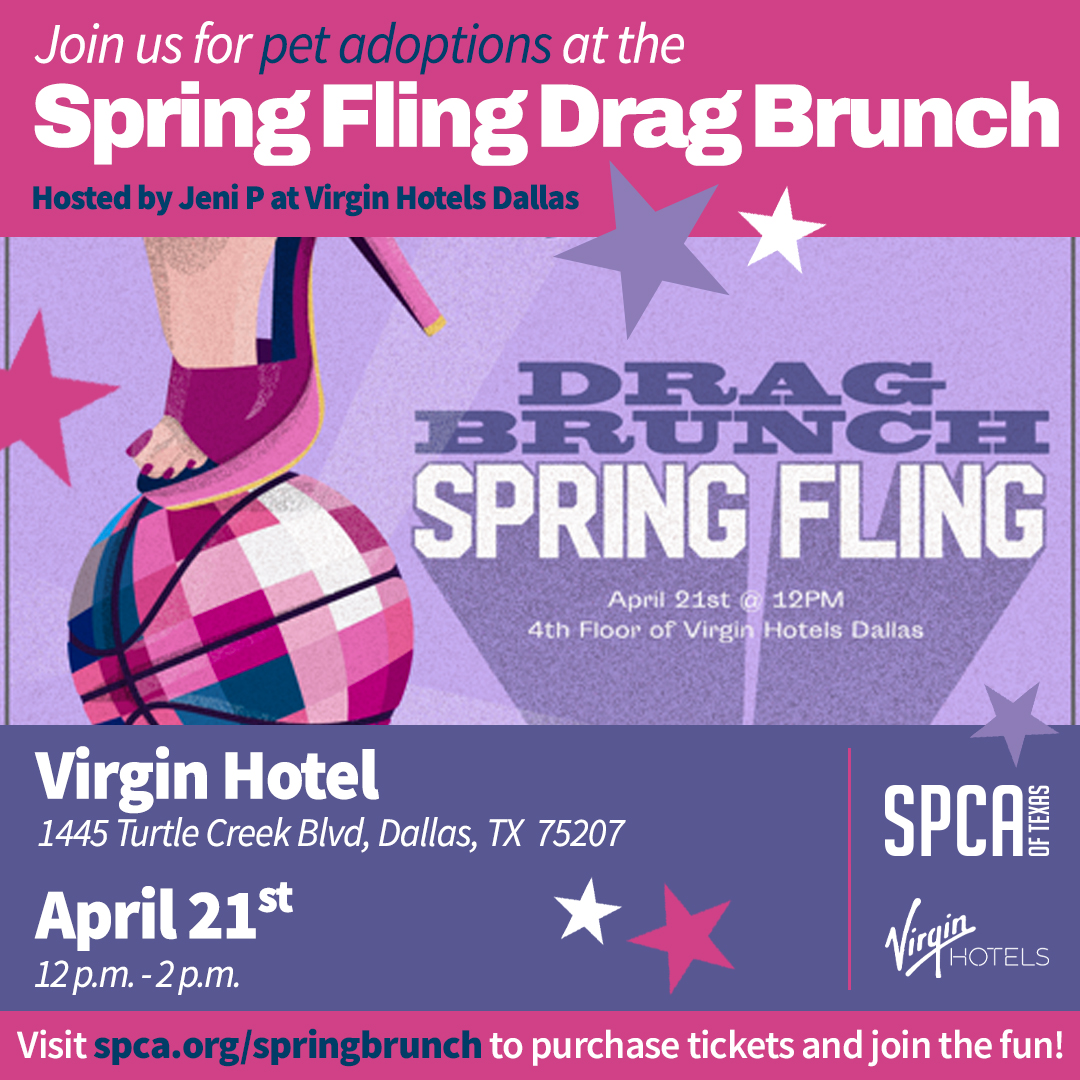 Spring Fling Drag Brunch April 21st at Virgin Hotels Dallas