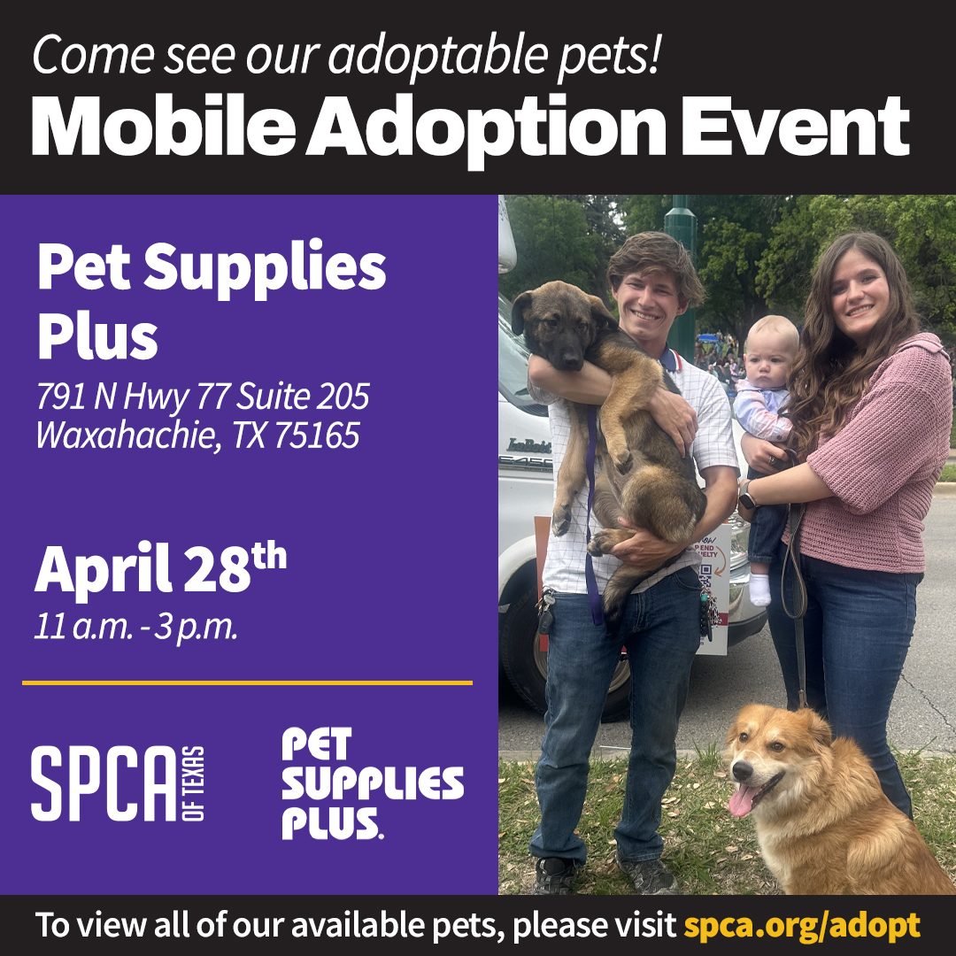 Pet Supplies Plus Waxahachie Mobile Adoptions on April 28 2024