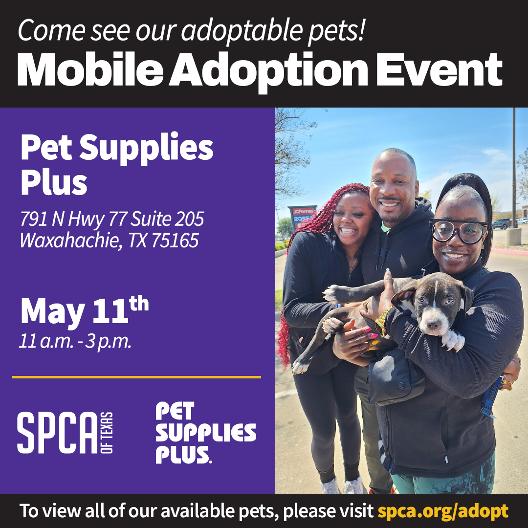 Mobile Adoptions on May 11 at Pet Supplies Plus Waxahachie