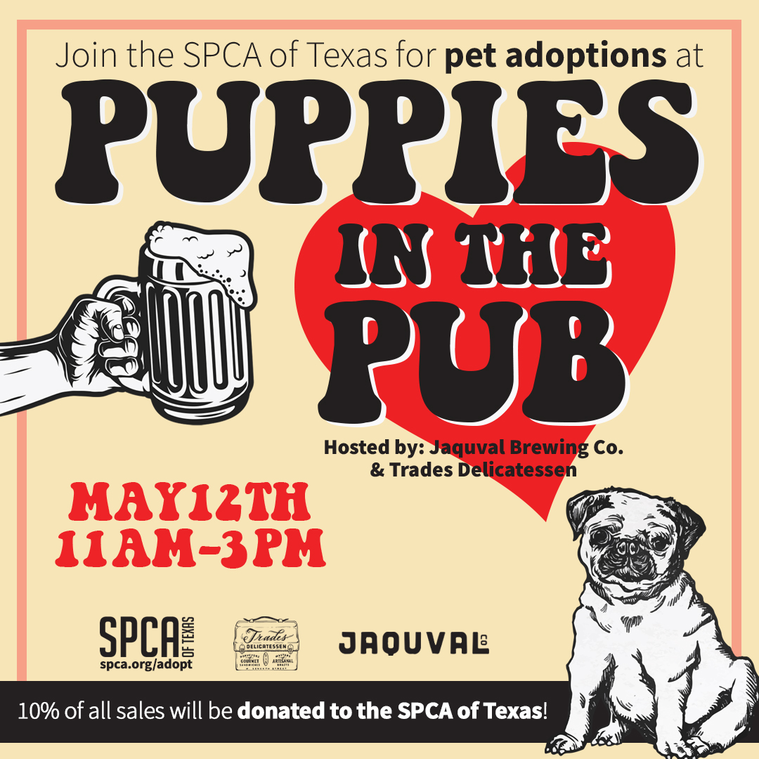 Puppies in the Pub May 12 2024