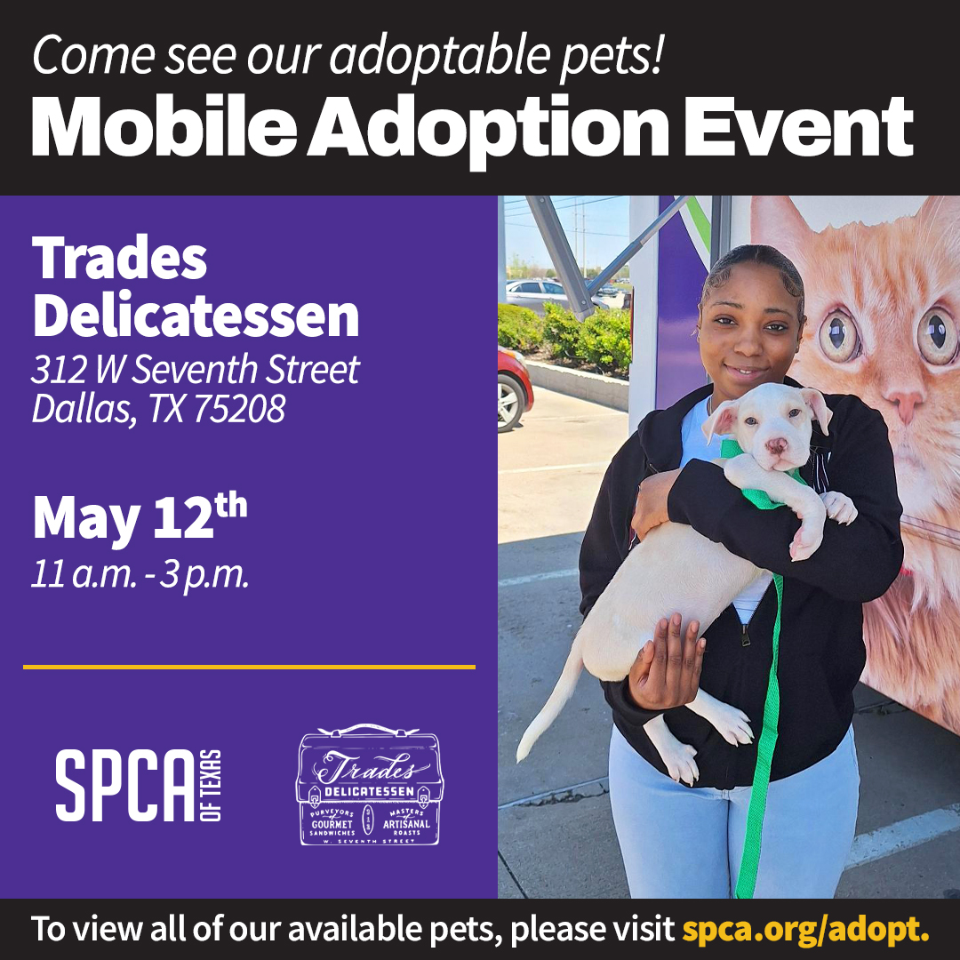 Mobile Adoptions at Trades Delicatessen may 12, 2024