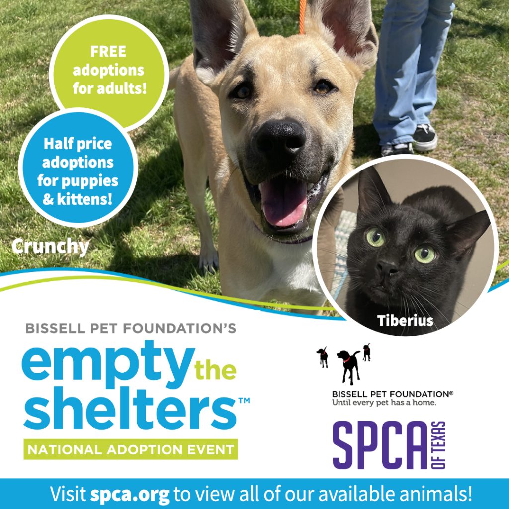 SPCA of Texas Bissell Empty The Shelters SPCA of Texas