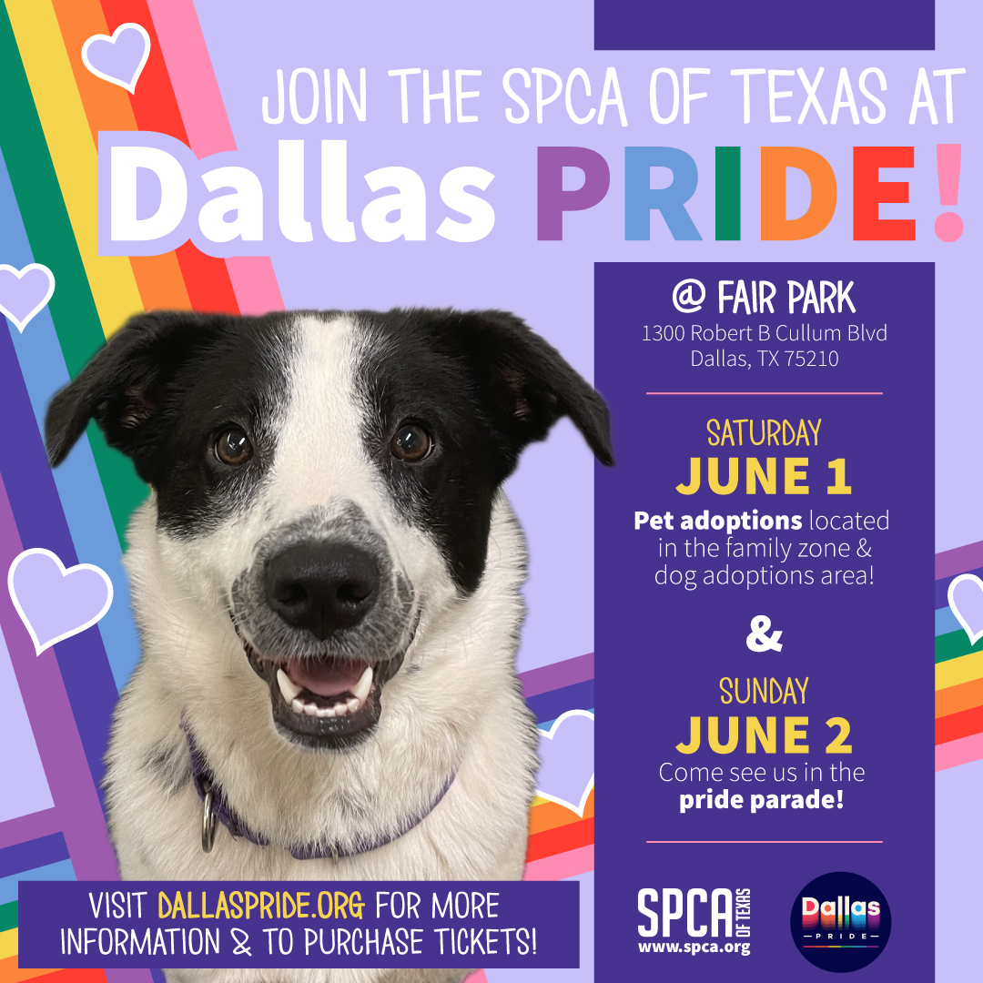 Dallas Pride 2024