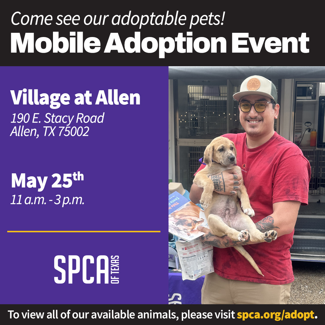 Mobile Adoptions May 25 Village at Allen