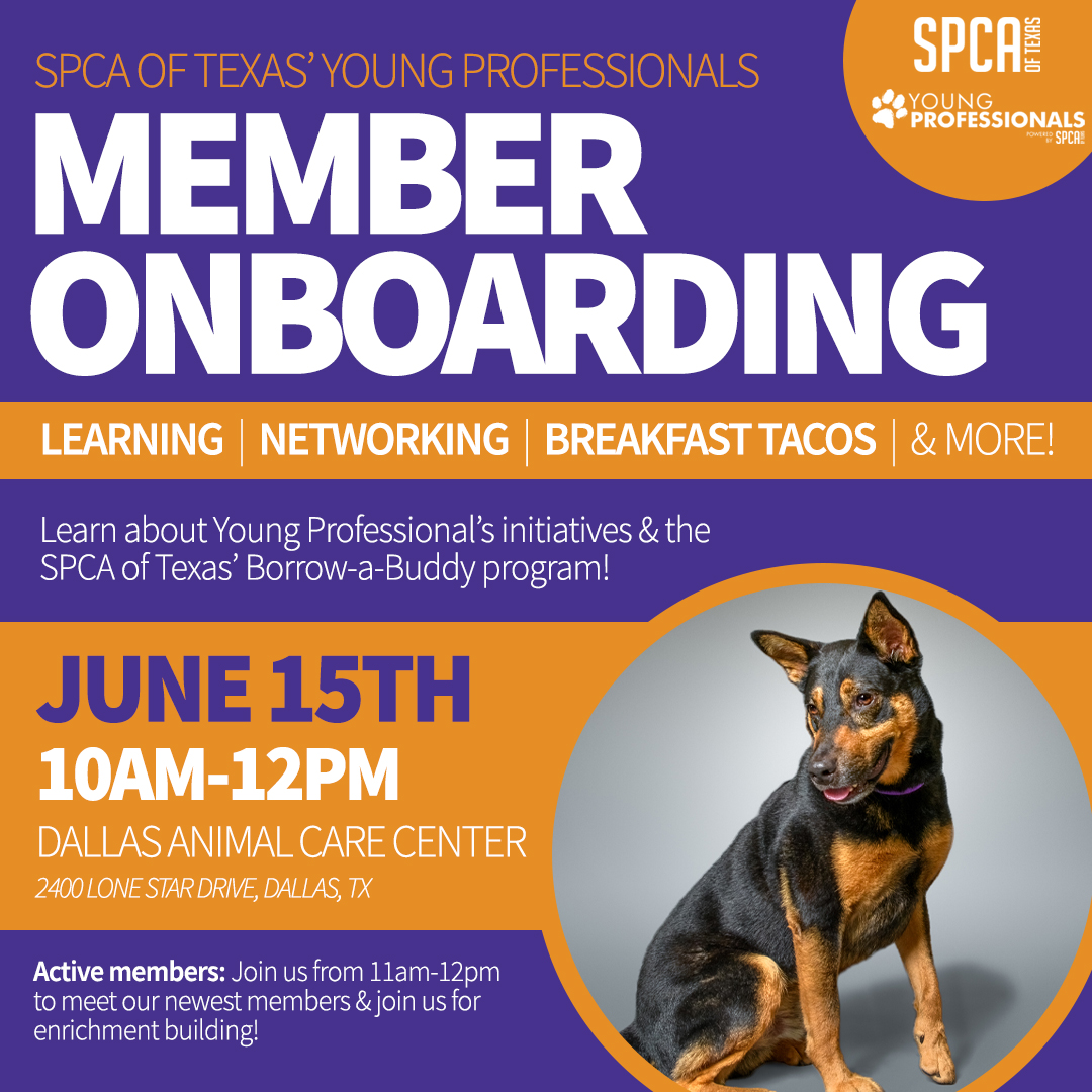 Young Professionals Onboarding, June 15, 2024