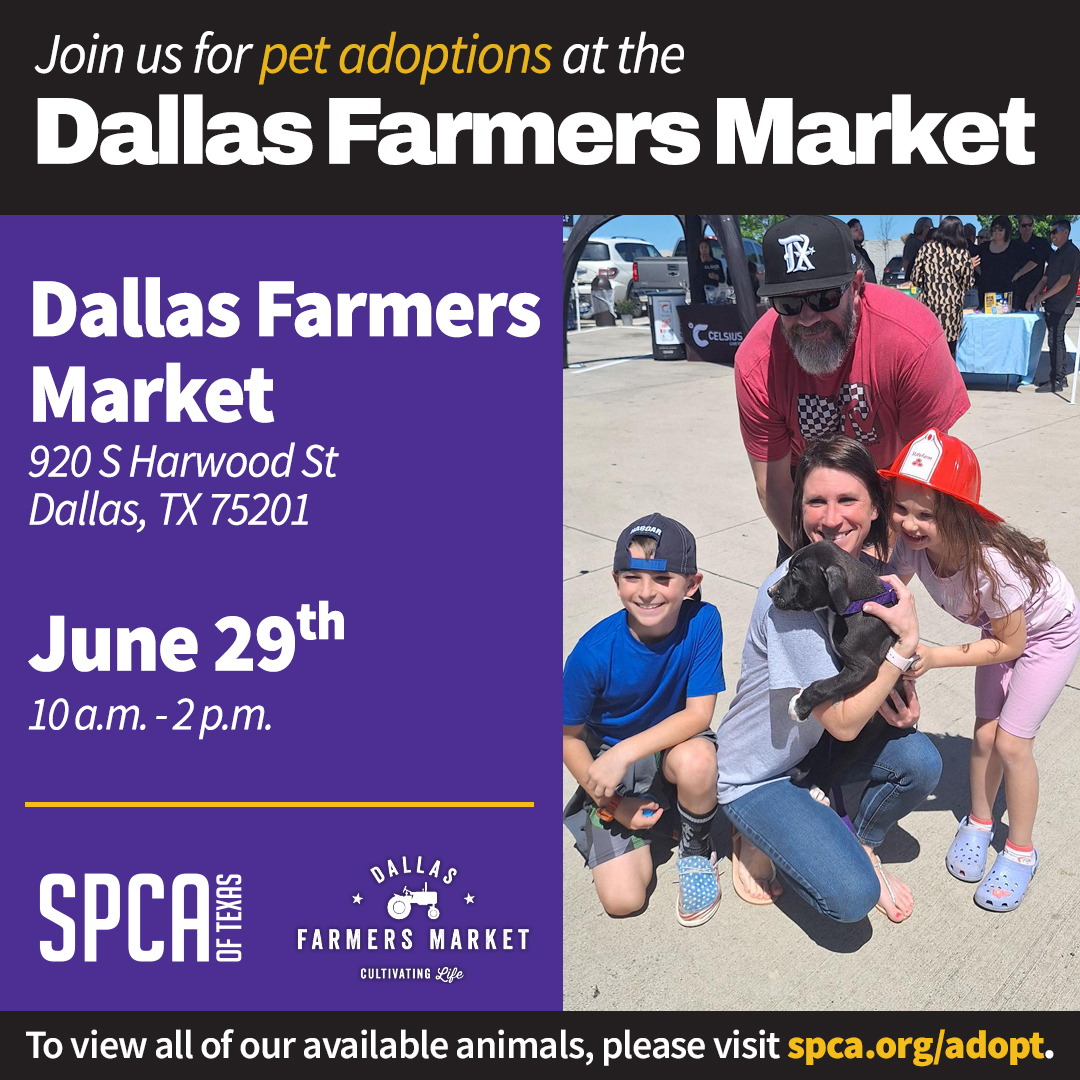 Mobile Adoptions at the Dallas Farmers Market June 29, 2024