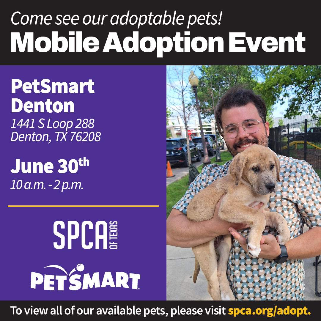 Mobile Adoptions PetSmart Denton June 30, 2024