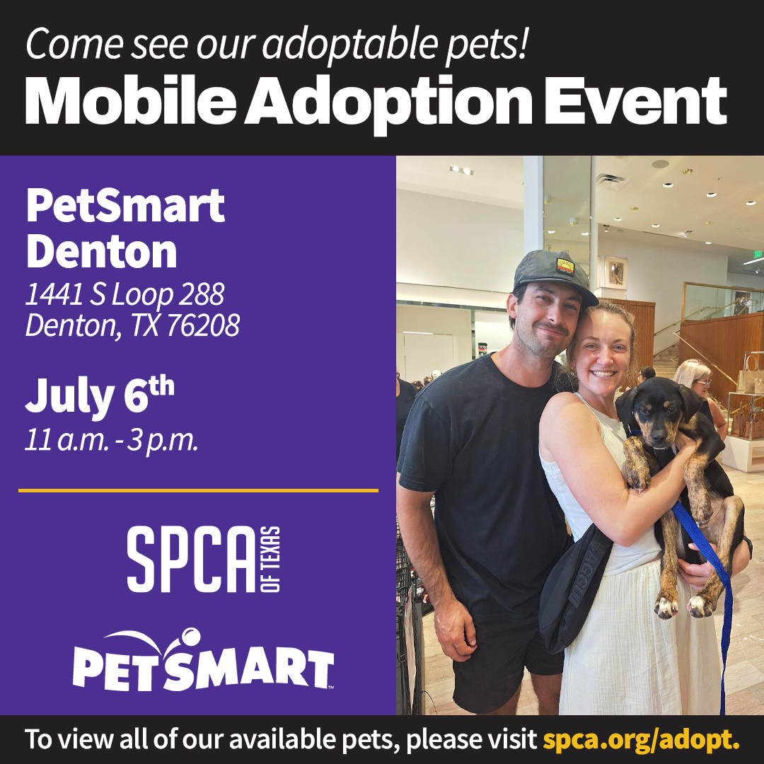 Mobile Adoptions at PetSmart Denton