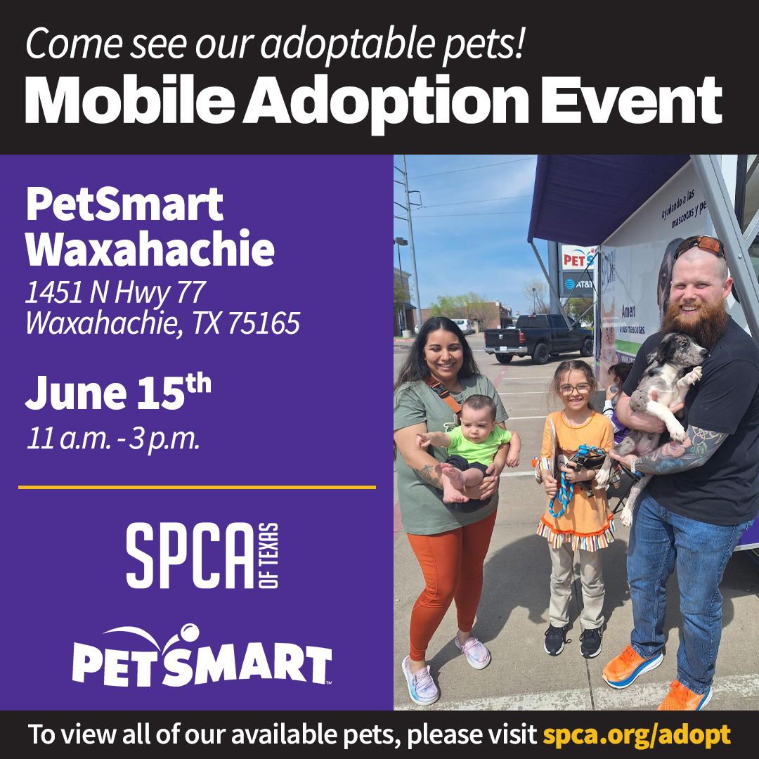 Mobile Adoptions at PetSmart Waxahachie June 15, 2024