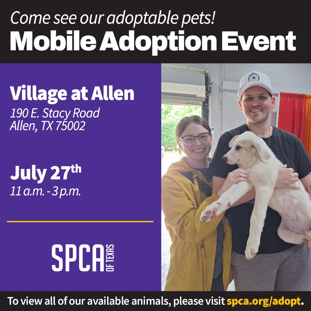 Mobile Adoptions at Village At Allen July 27, 2024