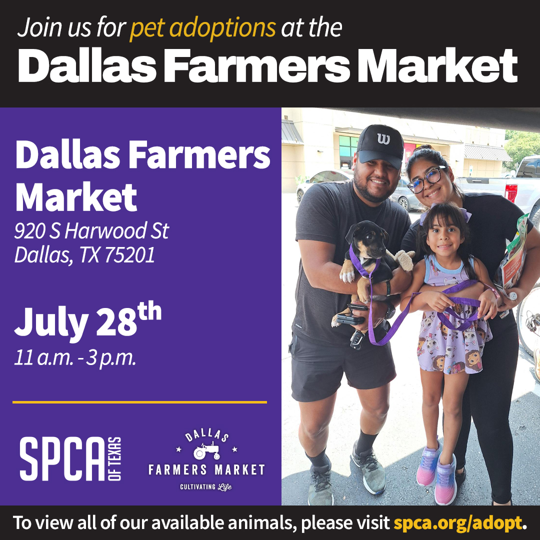 Mobile Adoption Dallas Farmers Market July 28