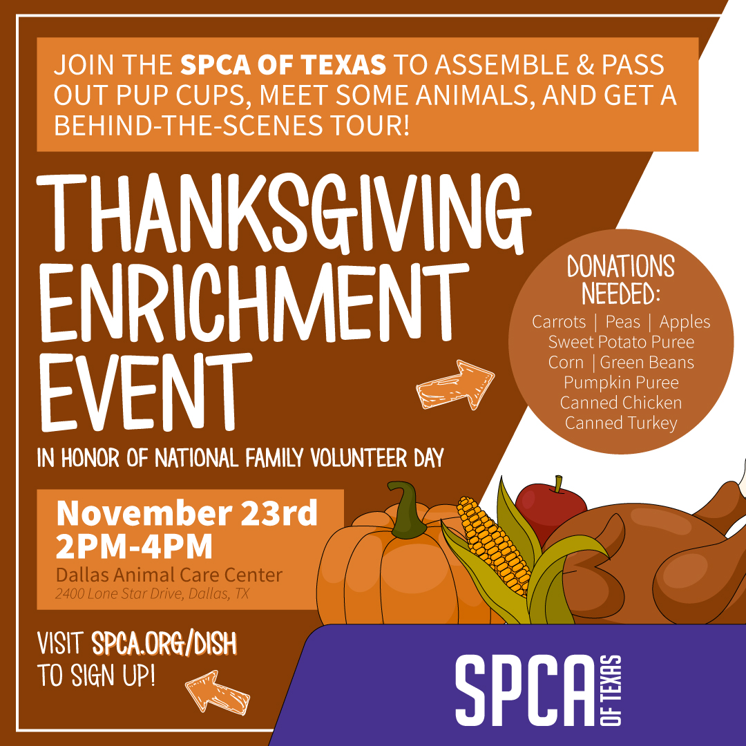 Thanksgiving Enrichment Event 2024