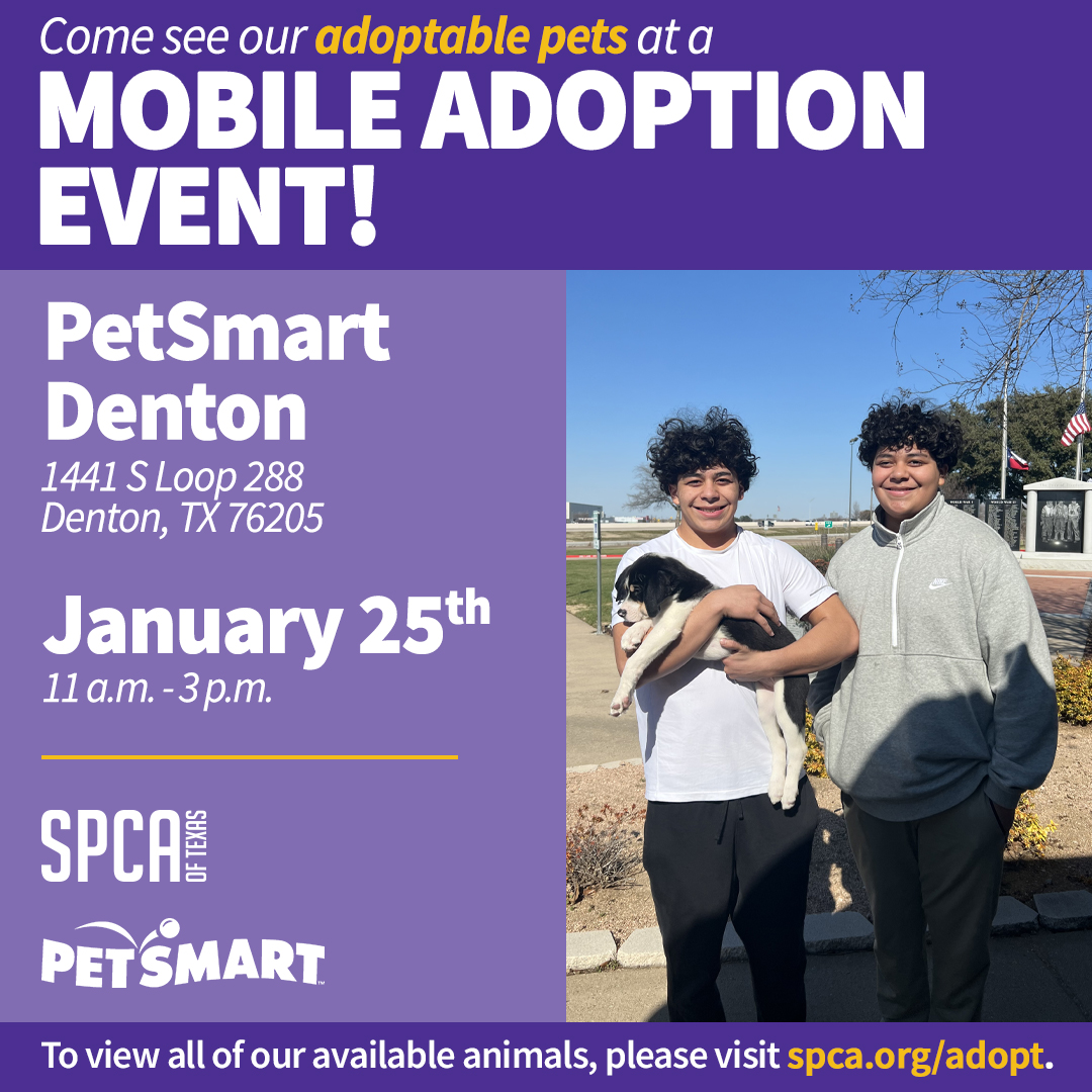 PetSmart Denton Mobile Adoptions January 25