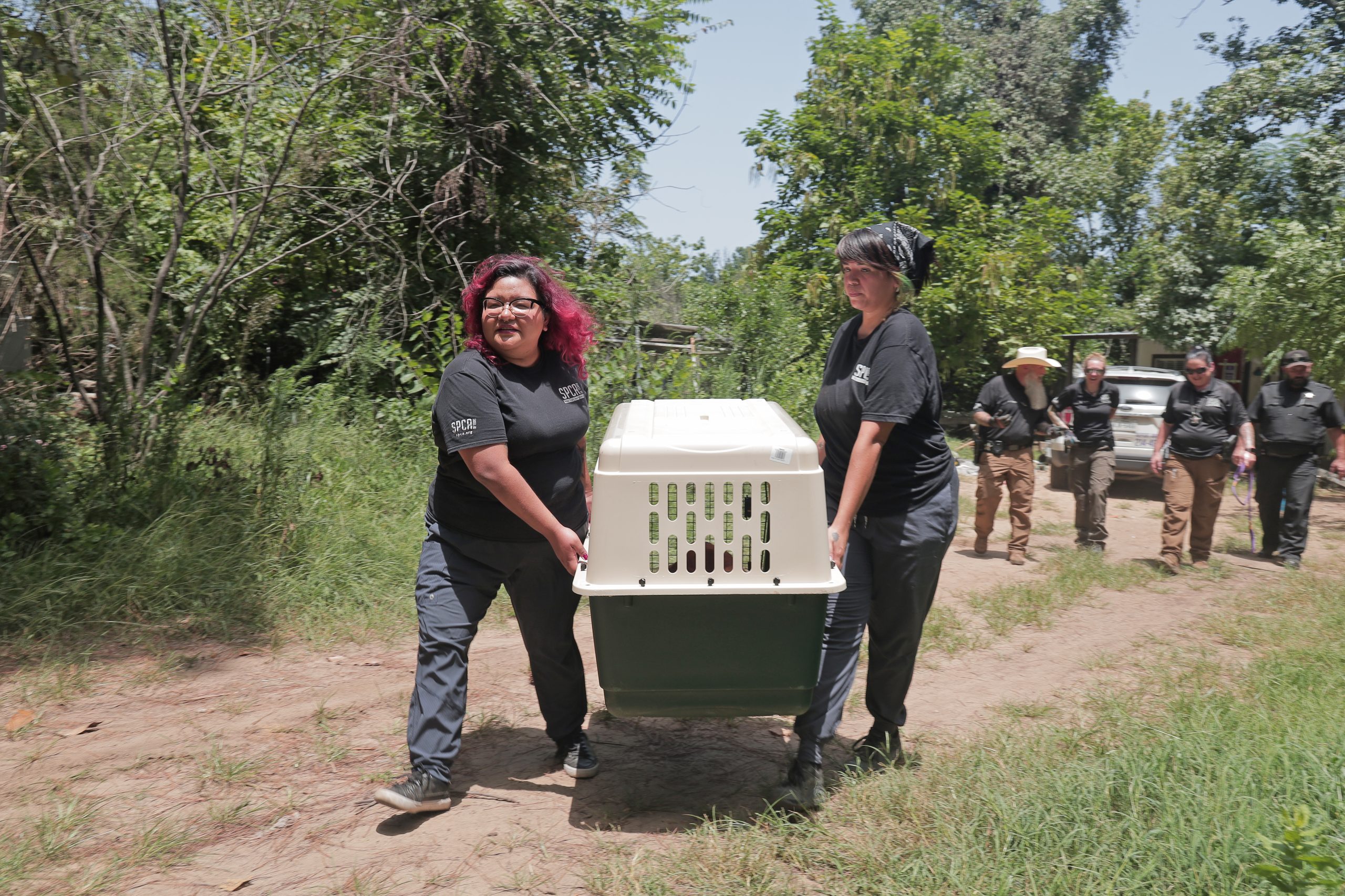 Two animal cruelty support members carry a dog crate while the animal cruelty investigators work in the background.